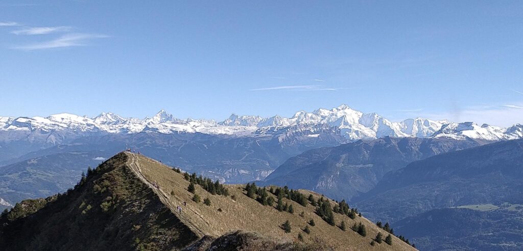 Thérapie brève Palo Alto en Haute-Savoie pour améliorer les relations familiales, de couple ou parent-enfant.